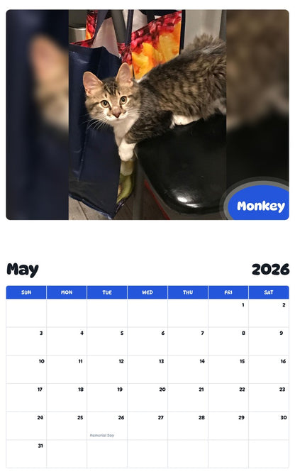 2026 - 2027 Monkey - Pawidols Pet Calendar