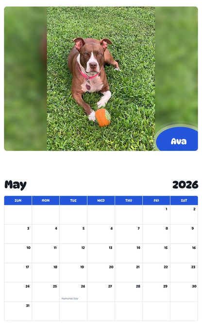 2026 - 2027 Ava - Pawidols Pet Calendar