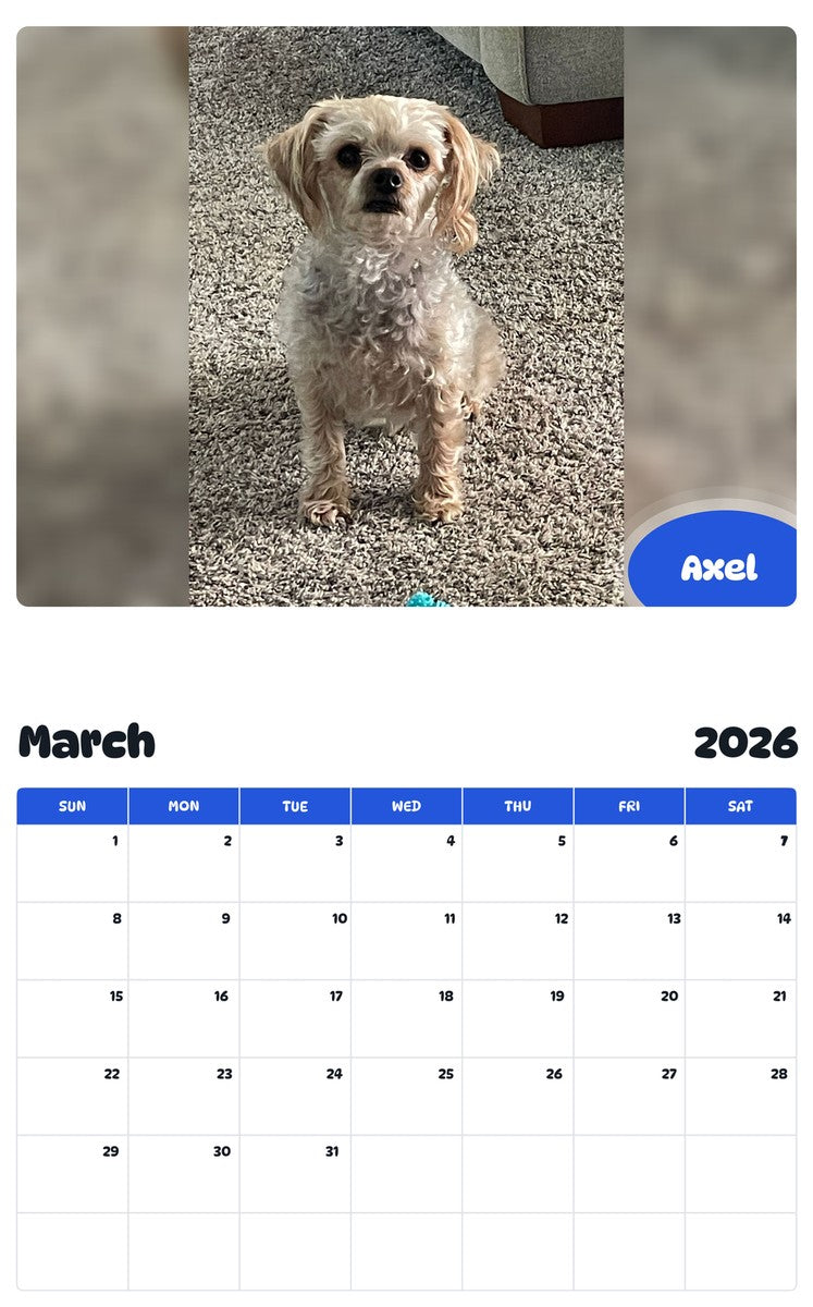 November 2025 - October 2026 Axel - Pawidols Pet Calendar