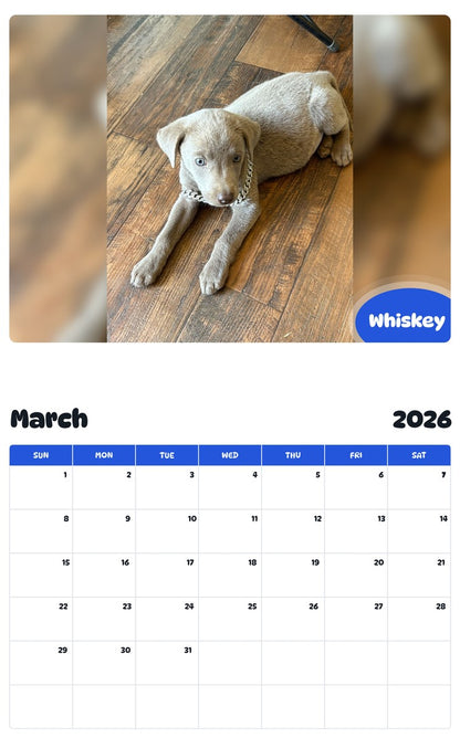 November 2025 - October 2026 Whiskey - Pawidols Pet Calendar