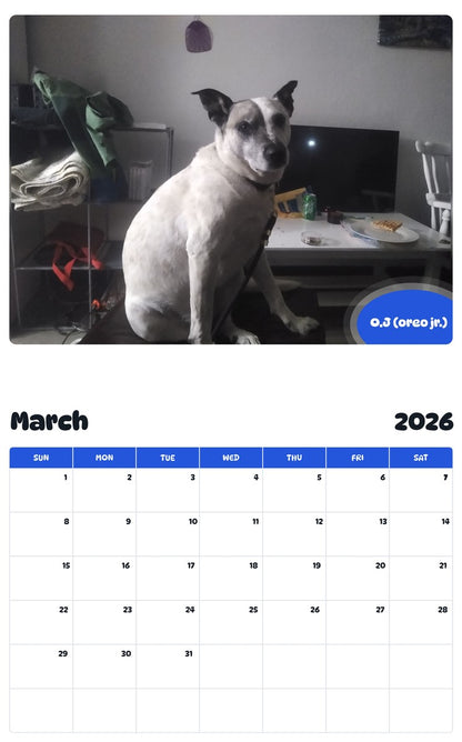 November 2025 - October 2026 O.J (oreo jr.) - Pawidols Pet Calendar