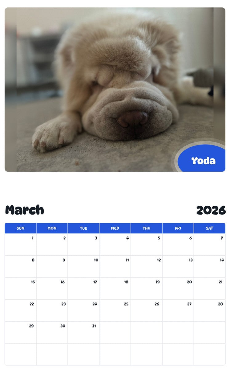 November 2025 - October 2026 Yoda - Pawidols Pet Calendar