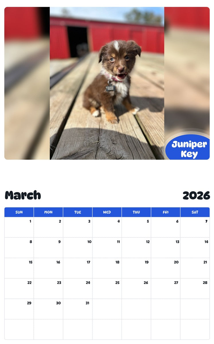 November 2025 - October 2026 Juniper Key - Pawidols Pet Calendar