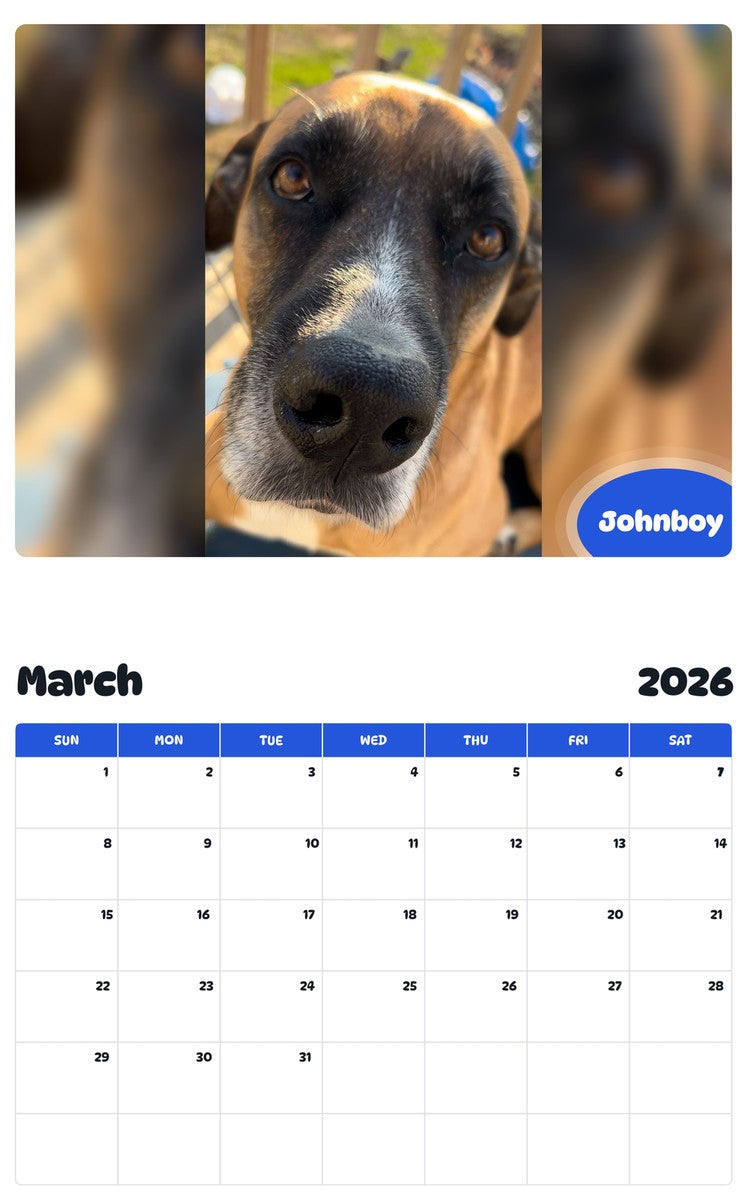 November 2025 - October 2026 Johnboy - Pawidols Pet Calendar