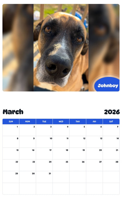 November 2025 - October 2026 Johnboy - Pawidols Pet Calendar