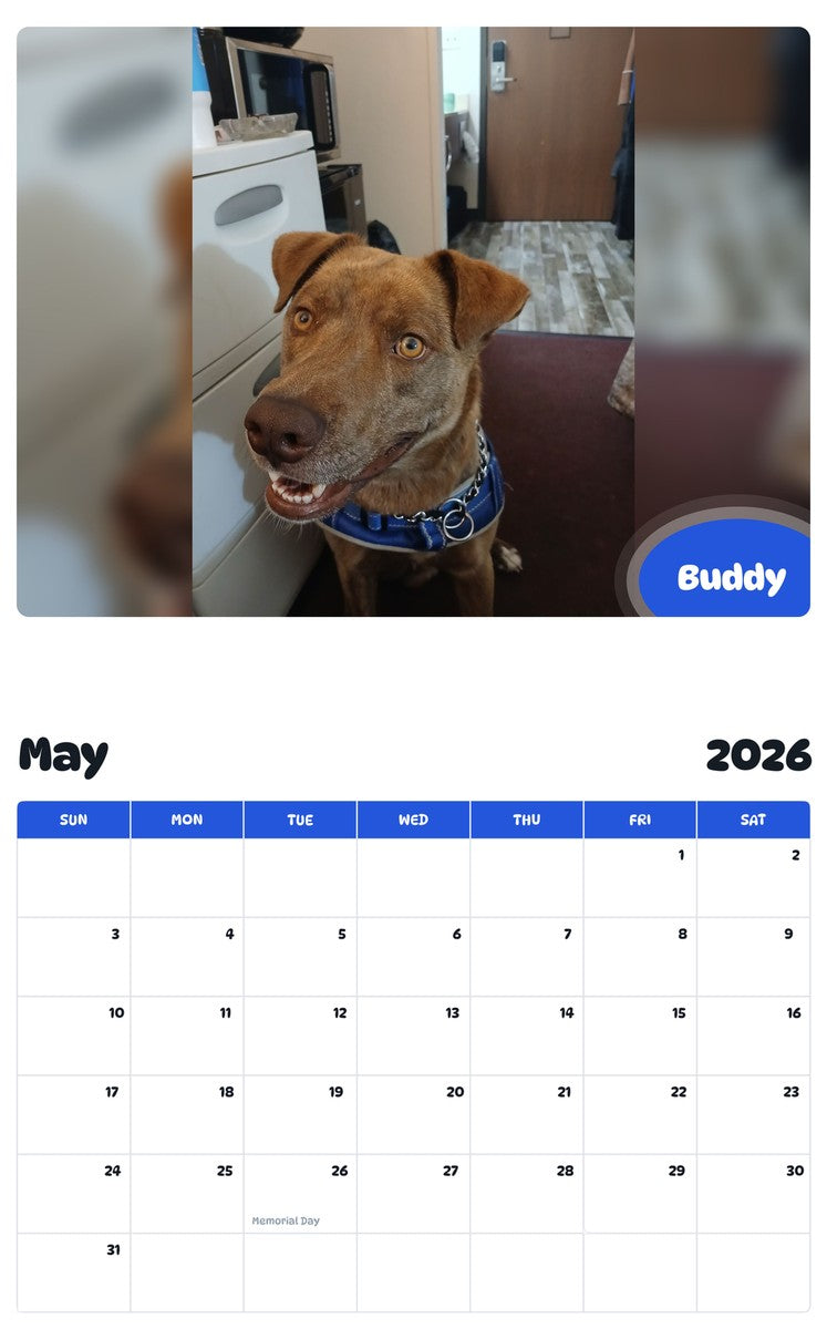 2026 - 2027 Buddy - Pawidols Pet Calendar