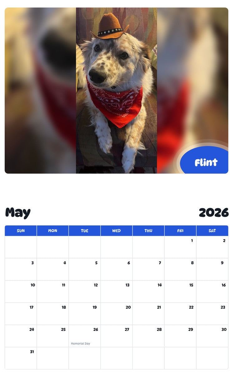 2026 - 2027 Flint - Pawidols Pet Calendar
