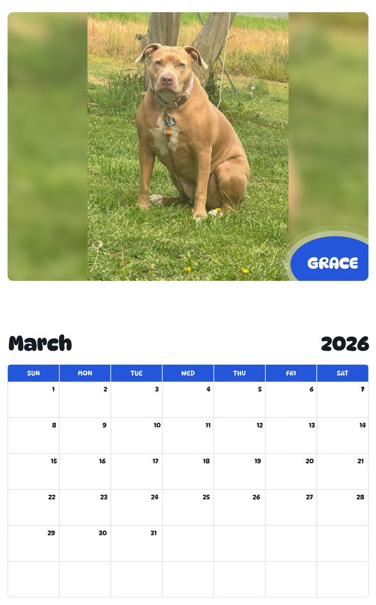 November 2025 - October 2026 GRACE - Pawidols Pet Calendar