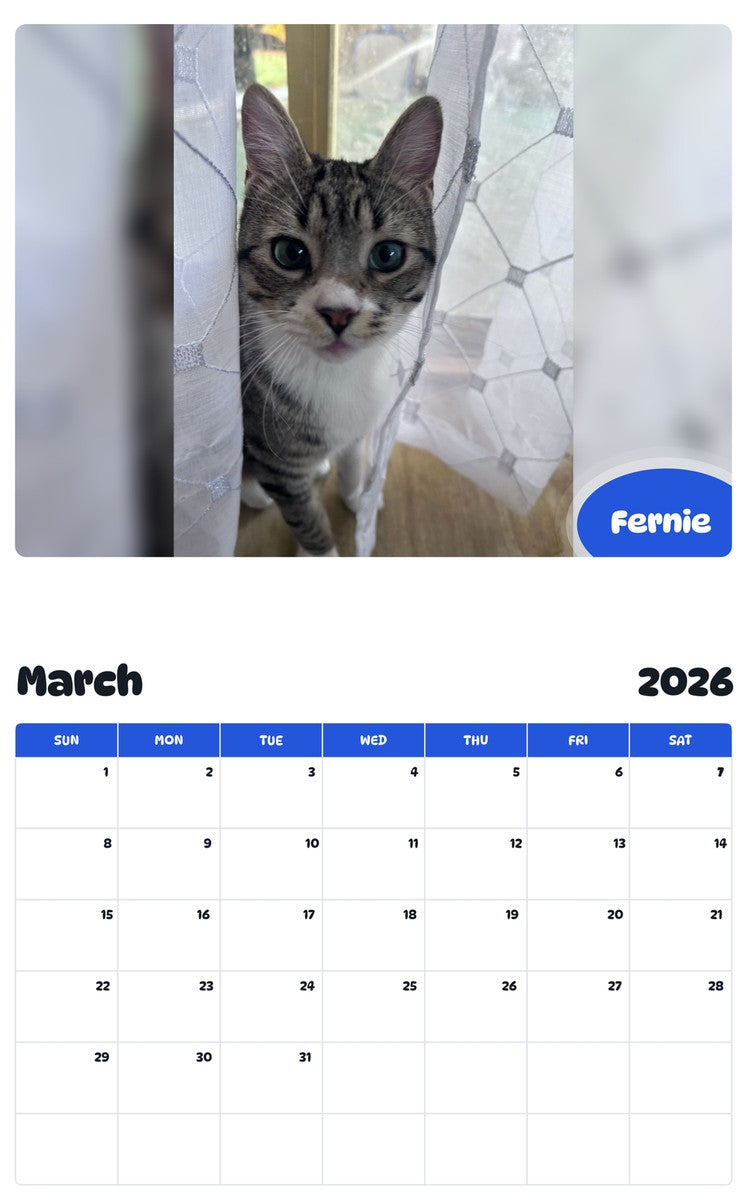 November 2025 - October 2026 Fernie - Pawidols Pet Calendar