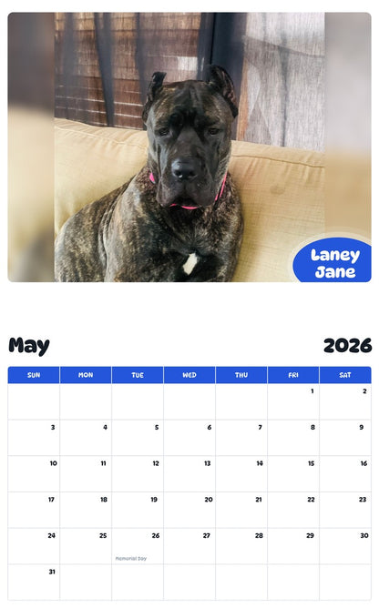 2026 - 2027 Laney Jane - Pawidols Pet Calendar