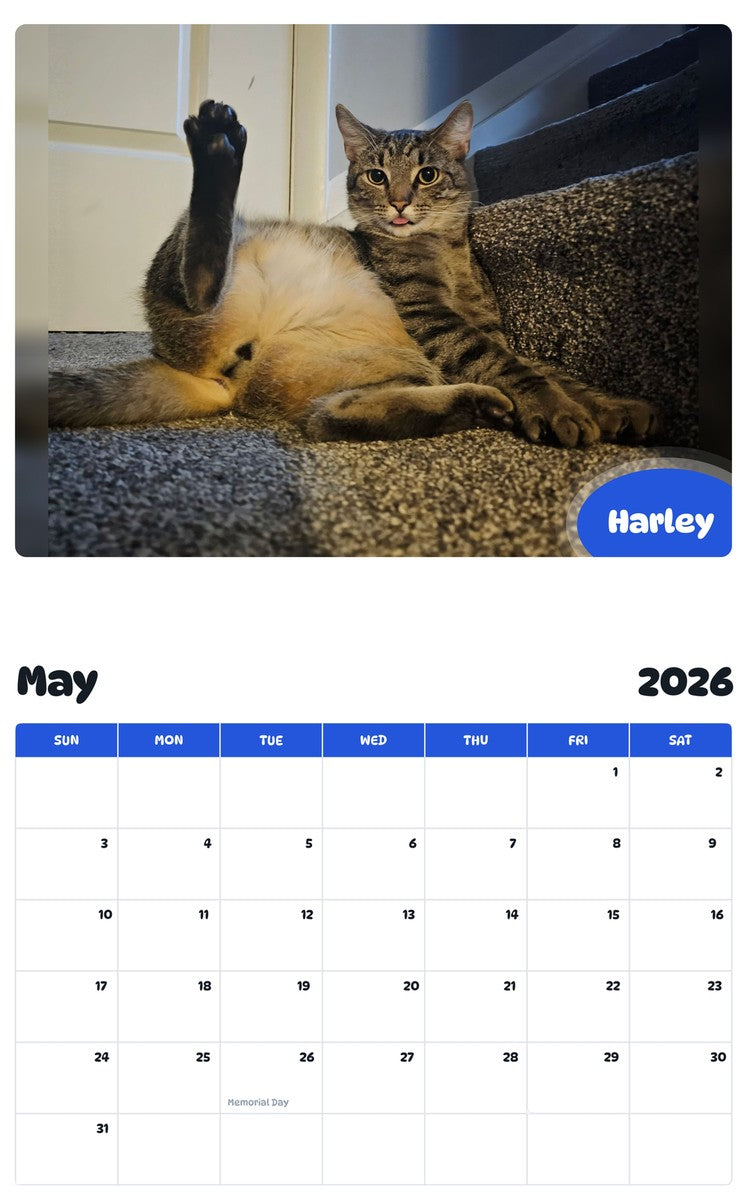 2026 - 2027 Harley - Pawidols Pet Calendar