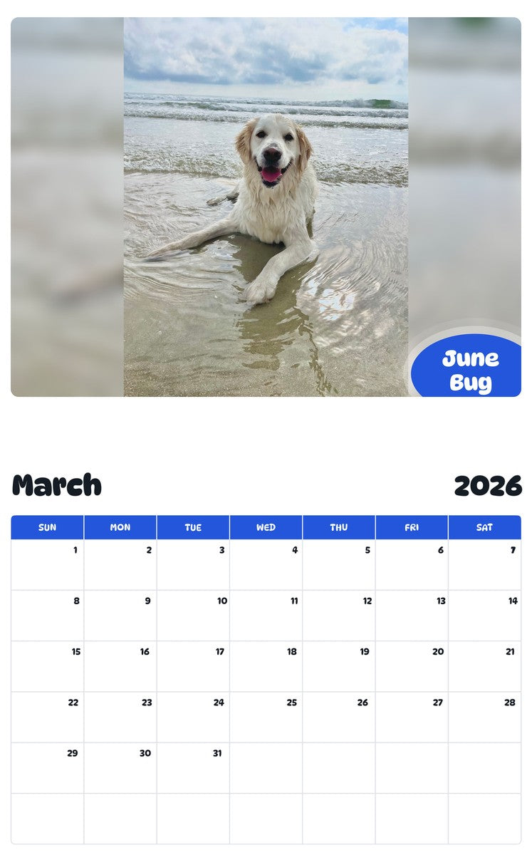 November 2025 - October 2026 June Bug - Pawidols Pet Calendar