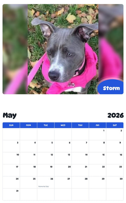 2026 - 2027 Storm - Pawidols Pet Calendar