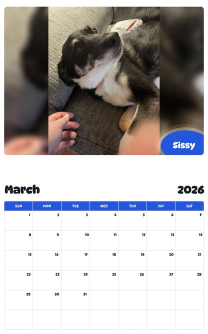 November 2025 - October 2026 Sissy - Pawidols Pet Calendar