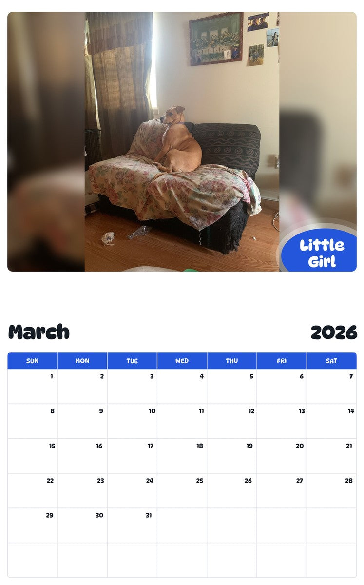 November 2025 - October 2026 Little Girl - Pawidols Pet Calendar