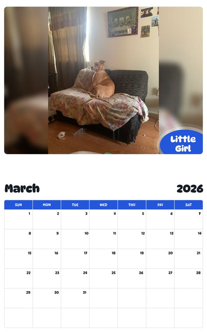 November 2025 - October 2026 Little Girl - Pawidols Pet Calendar
