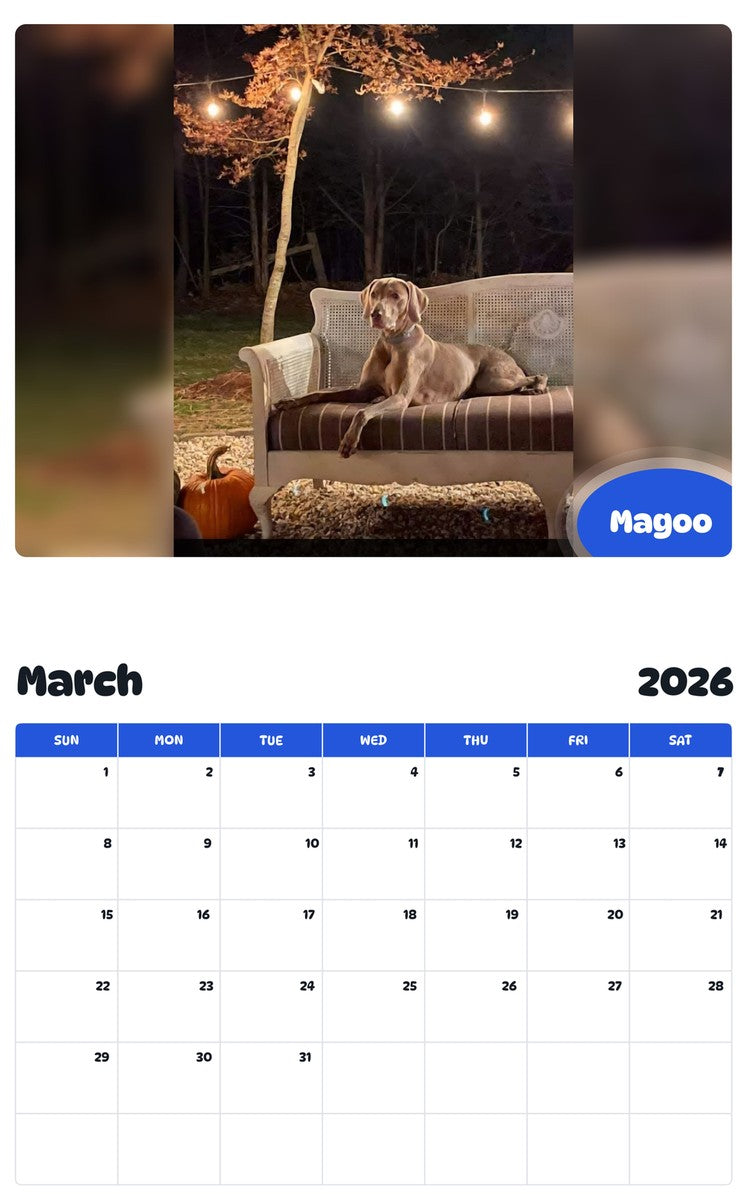 November 2025 - October 2026 Magoo - Pawidols Pet Calendar