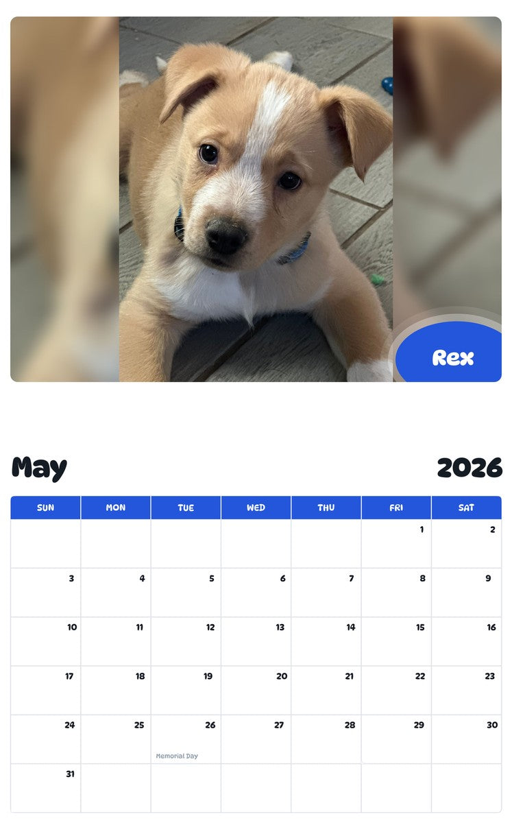 2026 - 2027 Rex - Pawidols Pet Calendar