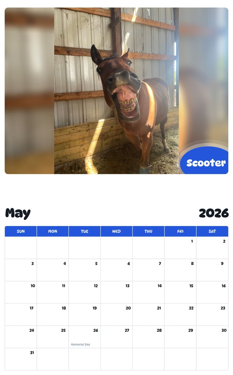 2026 - 2027 Scooter - Pawidols Pet Calendar