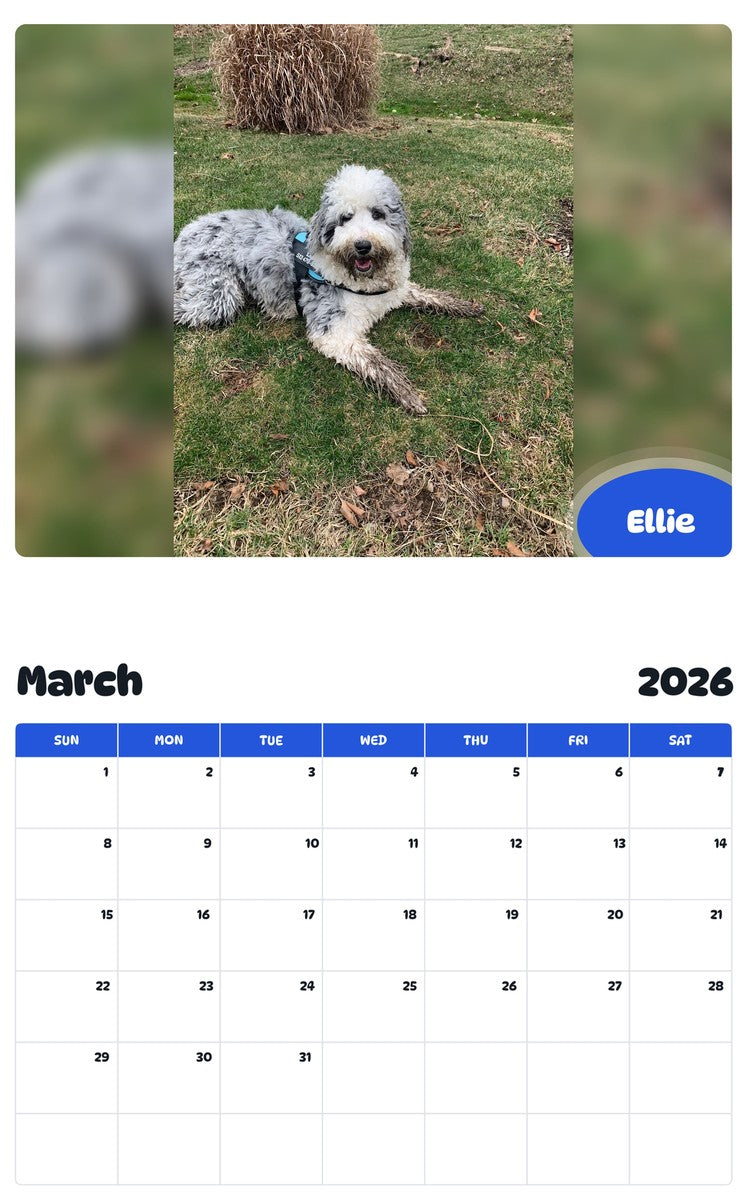 November 2025 - October 2026 Ellie - Pawidols Pet Calendar