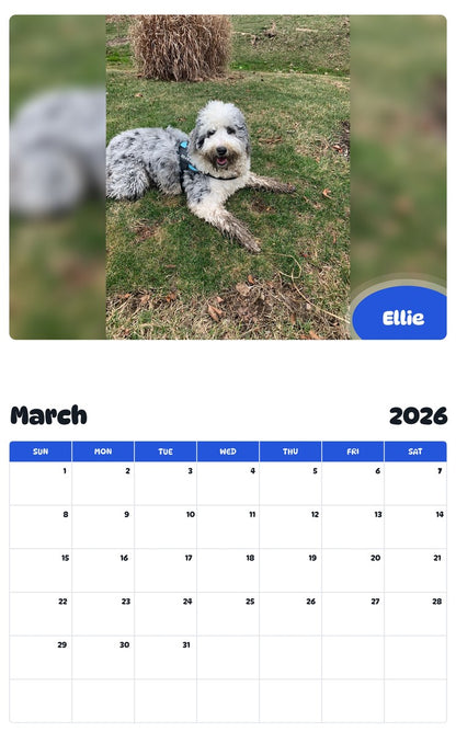 November 2025 - October 2026 Ellie - Pawidols Pet Calendar