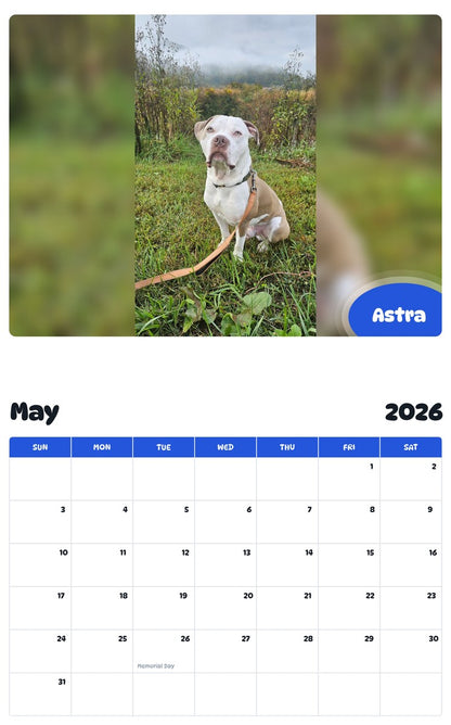 2026 - 2027 Astra - Pawidols Pet Calendar