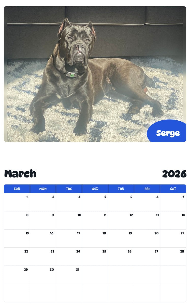 November 2025 - October 2026 Serge - Pawidols Pet Calendar