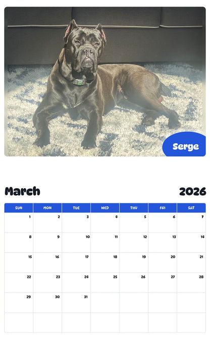 November 2025 - October 2026 Serge - Pawidols Pet Calendar