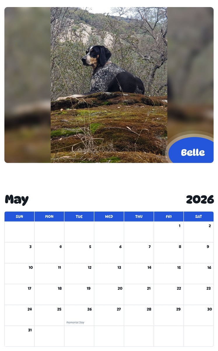 2026 - 2027 Belle - Pawidols Pet Calendar