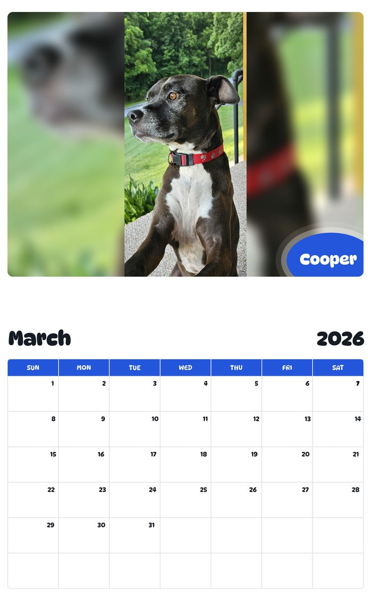 November 2025 - October 2026 Cooper - Pawidols Pet Calendar