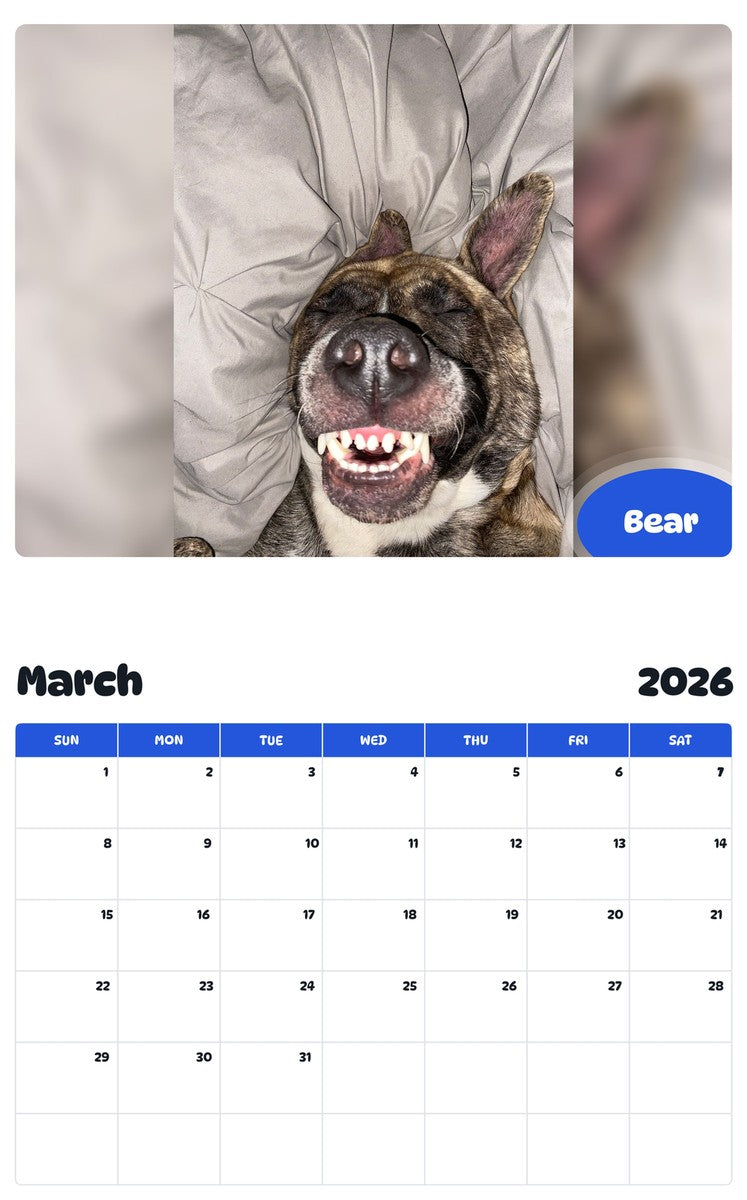 November 2025 - October 2026 Bear - Pawidols Pet Calendar