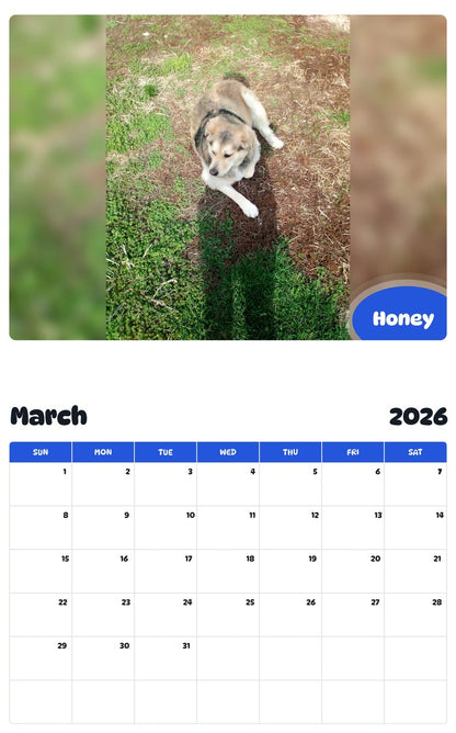November 2025 - October 2026 Honey - Pawidols Pet Calendar