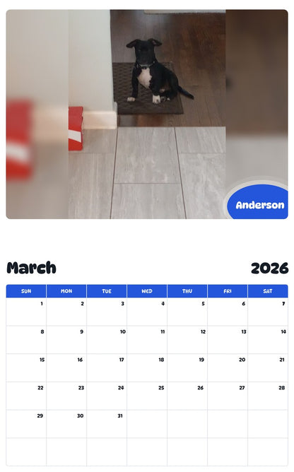 November 2025 - October 2026 Anderson - Pawidols Pet Calendar