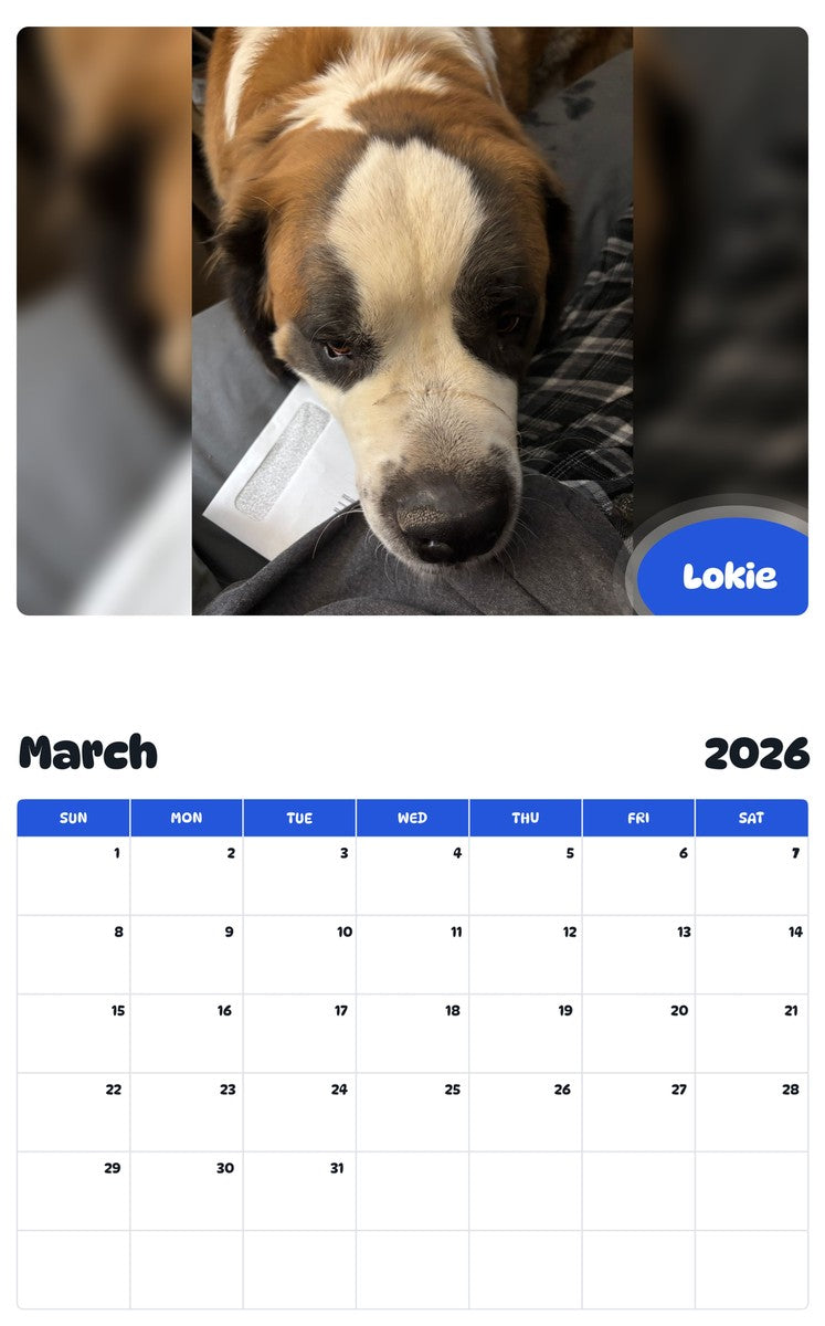 November 2025 - October 2026 Lokie - Pawidols Pet Calendar