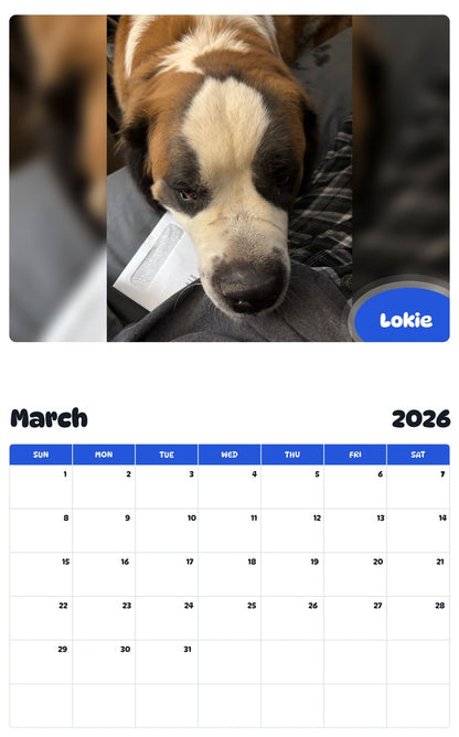 November 2025 - October 2026 Lokie - Pawidols Pet Calendar