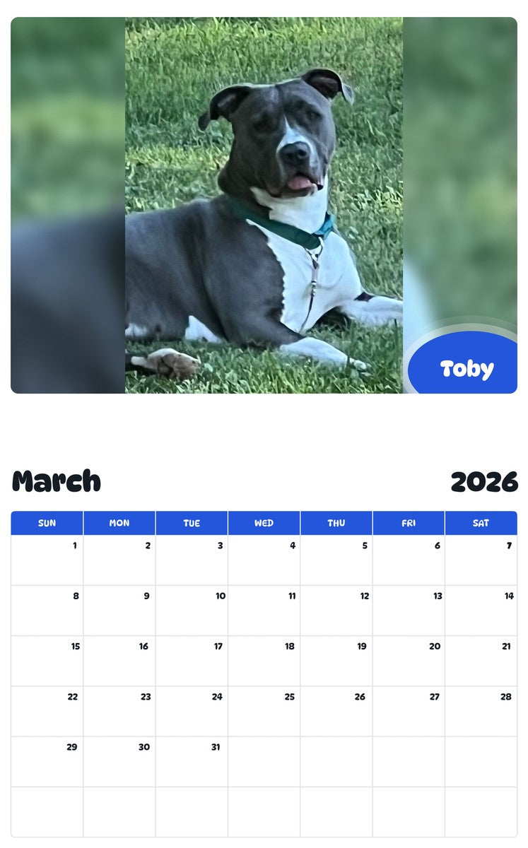 November 2025 - October 2026 Toby - Pawidols Pet Calendar