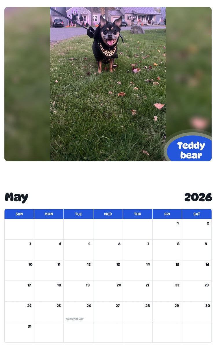 2026 - 2027 Teddy bear - Pawidols Pet Calendar