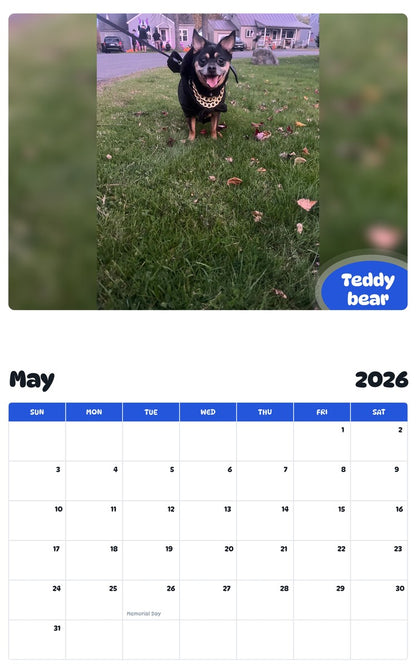 2026 - 2027 Teddy bear - Pawidols Pet Calendar