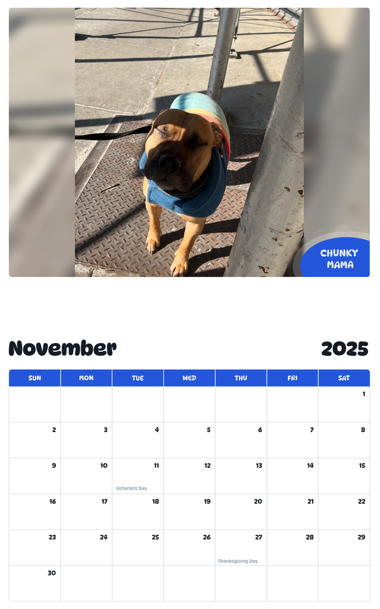 July 2025 - June 2026 Chunky Mama - Pawidols Pet Calendar