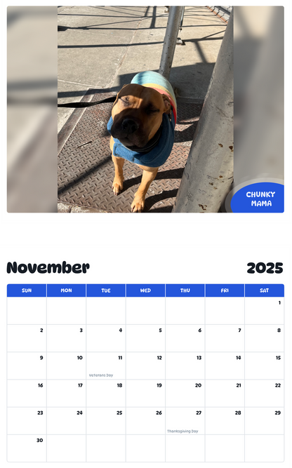 July 2025 - June 2026 Chunky Mama - Pawidols Pet Calendar