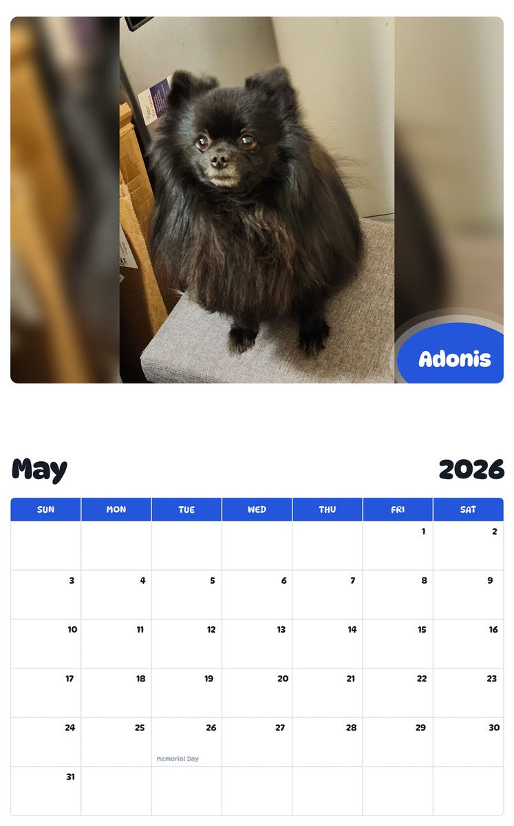 2026 - 2027 Adonis - Pawidols Pet Calendar