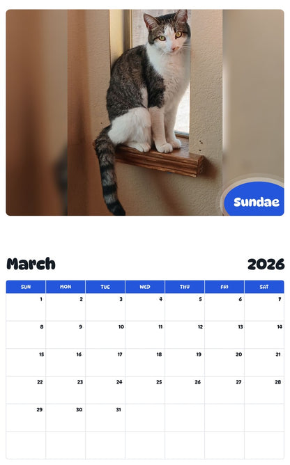 November 2025 - October 2026 Sundae - Pawidols Pet Calendar