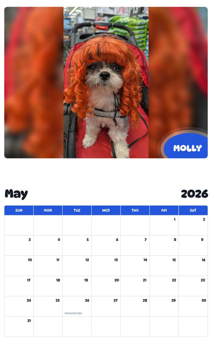 2026 - 2027 MOLLY - Pawidols Pet Calendar