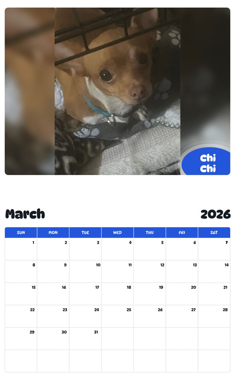 November 2025 - October 2026 Chi Chi - Pawidols Pet Calendar