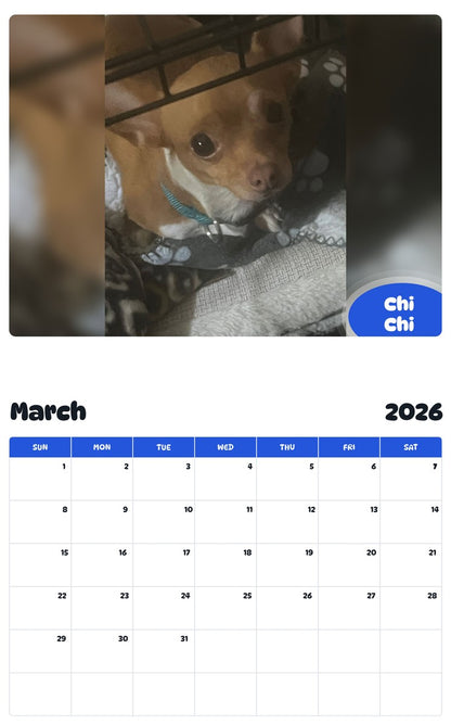 November 2025 - October 2026 Chi Chi - Pawidols Pet Calendar