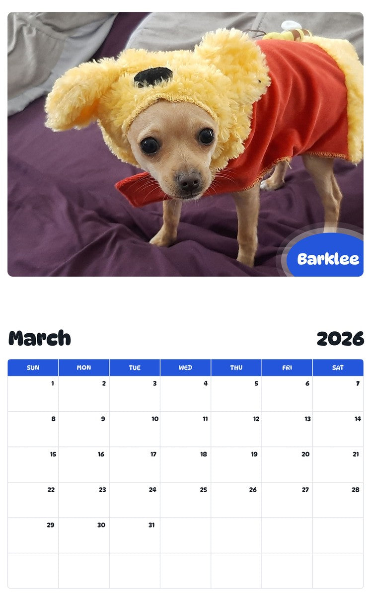 November 2025 - October 2026 Barklee - Pawidols Pet Calendar