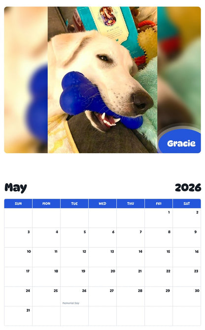 2026 - 2027 Gracie - Pawidols Pet Calendar