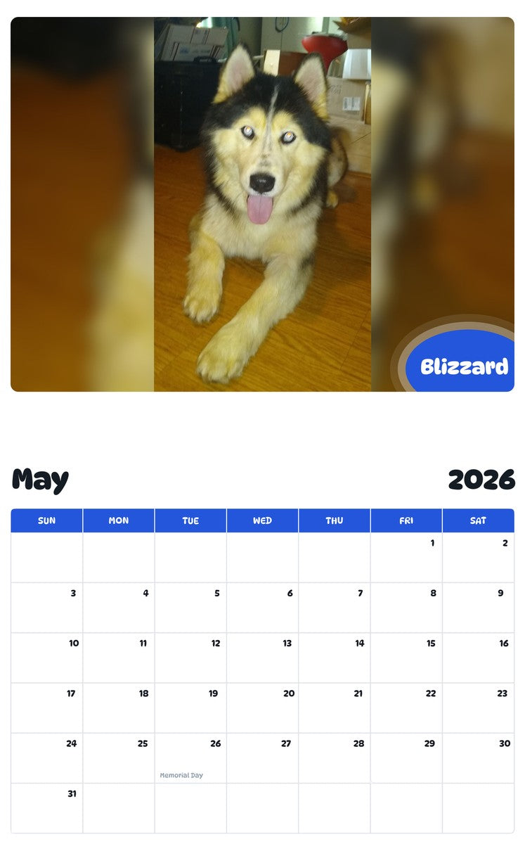 2026 - 2027 Blizzard - Pawidols Pet Calendar
