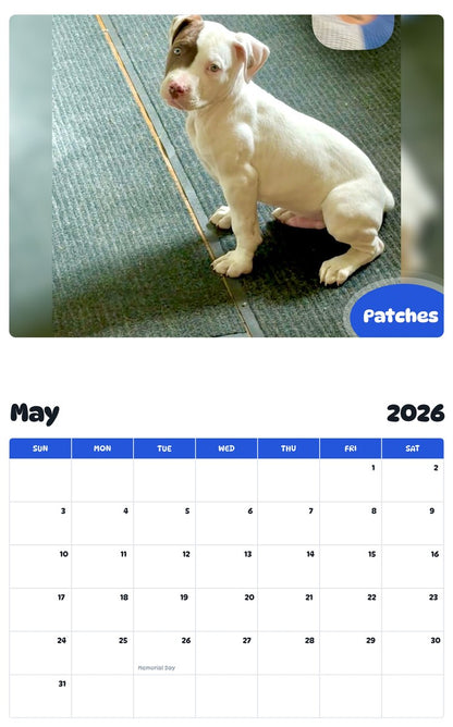 2026 - 2027 Patches - Pawidols Pet Calendar