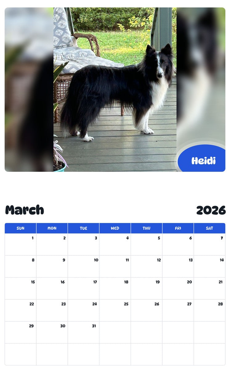 November 2025 - October 2026 Heidi - Pawidols Pet Calendar